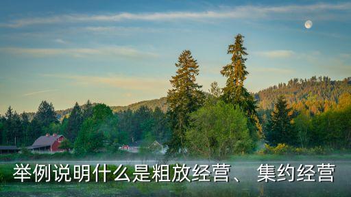 舉例說明什么是粗放經營、 集約經營