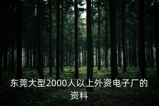 東莞大型2000人以上外資電子廠的資料