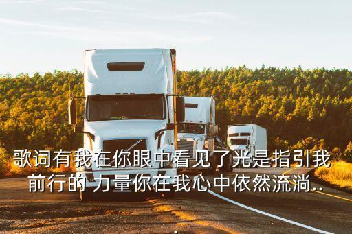 歌詞有我在你眼中看見了光是指引我 前行的 力量你在我心中依然流淌...