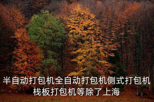 半自動打包機全自動打包機側式打包機棧板打包機等除了上海