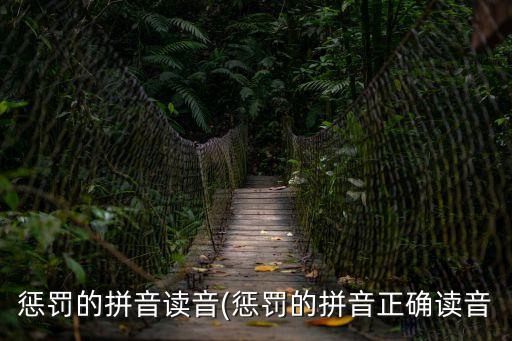 懲罰的拼音讀音(懲罰的拼音正確讀音