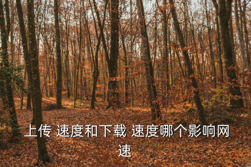  上傳 速度和下載 速度哪個影響網(wǎng)速