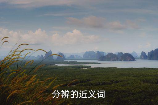 分辨的近義詞