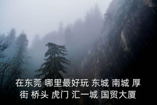 在東莞 哪里最好玩 東城 南城 厚街 橋頭 虎門 匯一城 國貿大廈