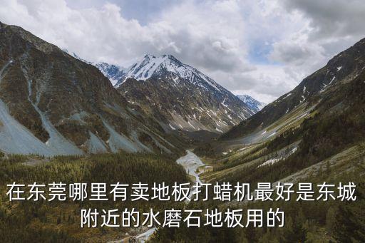 在東莞哪里有賣地板打蠟機最好是東城附近的水磨石地板用的