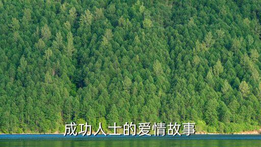 成年人的愛情故事，成功人士的愛情故事