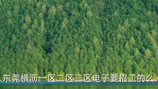 東莞橫瀝一區二區三區電子要招工的么