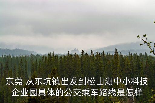 東莞 從東坑鎮出發到松山湖中小科技企業園具體的公交乘車路線是怎樣