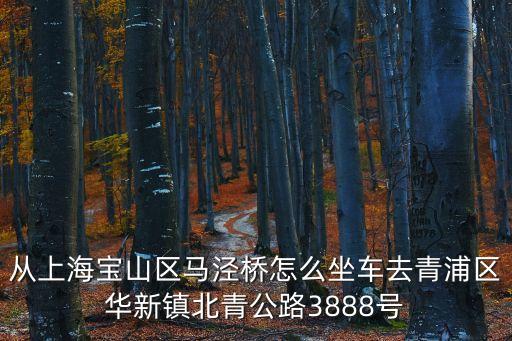 從上海寶山區馬涇橋怎么坐車去青浦區華新鎮北青公路3888號