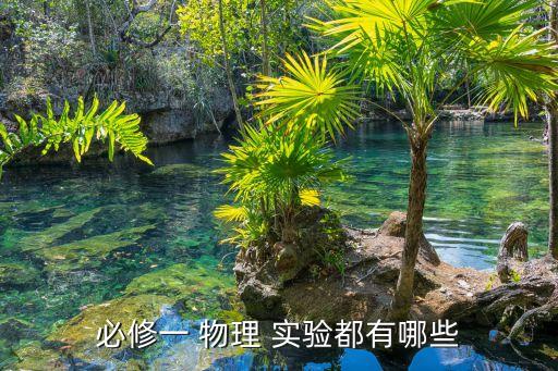 必修一 物理 實(shí)驗(yàn)都有哪些