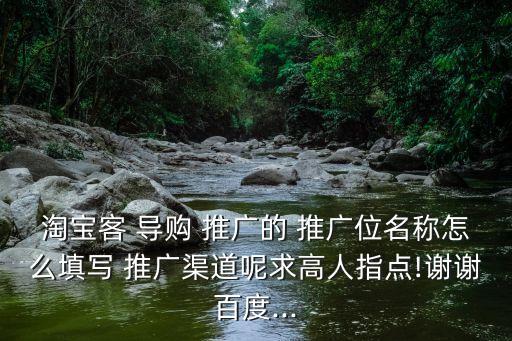 淘寶客 導購 推廣的 推廣位名稱怎么填寫 推廣渠道呢求高人指點!謝謝百度...