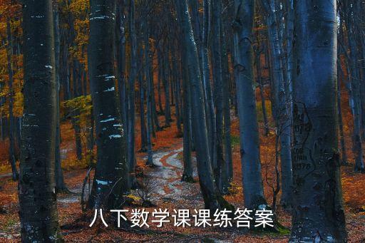 八下數學課課練答案