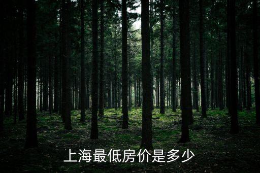 上海市房源最低房價，上海目前最低房價大概是多少