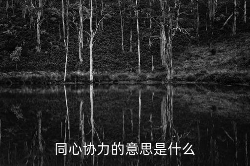 同心協力的意思是什么