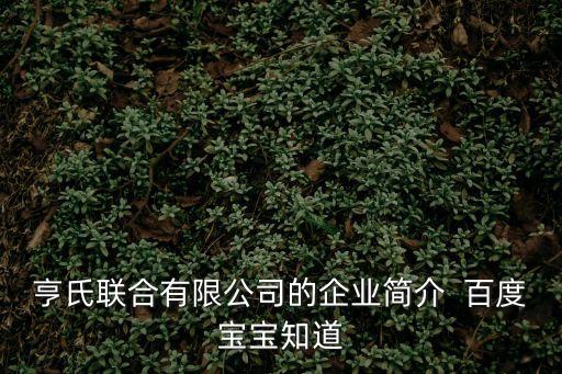 亨氏聯合有限公司的企業簡介  百度寶寶知道