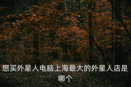 想買外星人電腦上海最大的外星人店是哪個