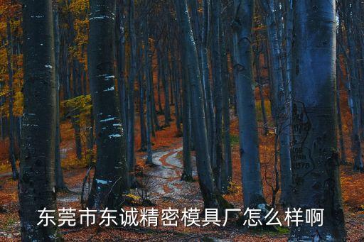 東莞市東誠精密模具廠怎么樣啊