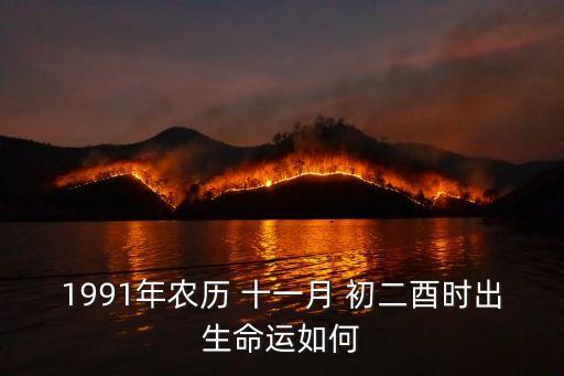 十一月初二,農(nóng)歷十一月是丑月取決于個(gè)人努力和素質(zhì)