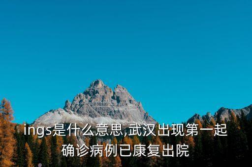 things是什么意思,武漢出現第一起確診病例已康復出院