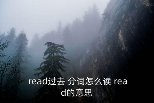 read的過(guò)去分詞