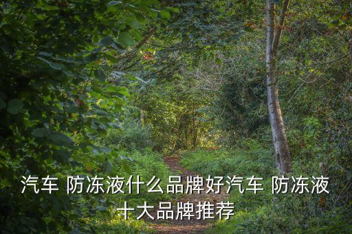 汽車 防凍液什么品牌好汽車 防凍液十大品牌推薦
