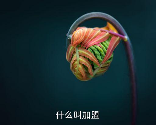 什么叫加盟