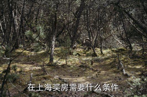 上海市商住房限貸政策，上海買房貸款政策2022最新