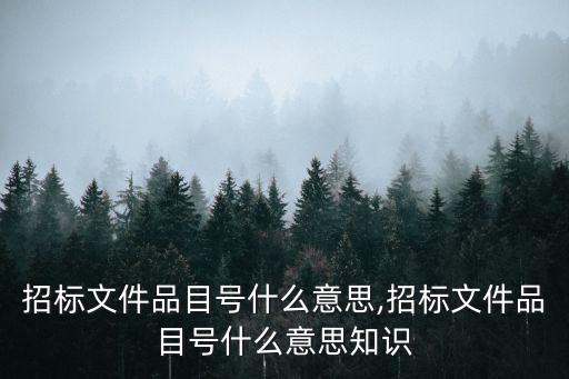 招標文件品目號什么意思,招標文件品目號什么意思知識