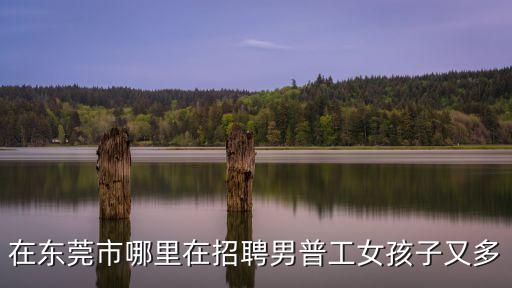 東莞健鑫招聘，東莞職員招聘