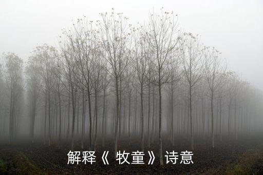 牧童詩意,牧童深夜回家吃晚飯睡著了