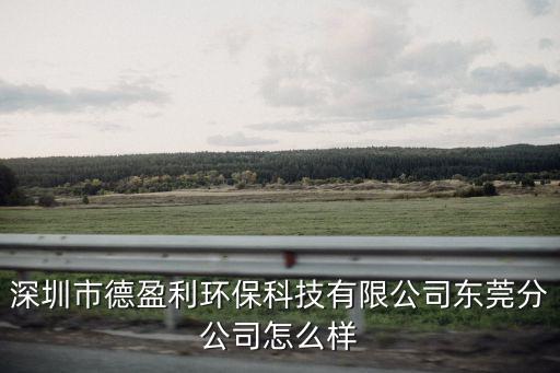 深圳市德盈利環(huán)保科技有限公司東莞分公司怎么樣
