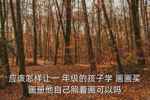 應該怎樣讓一 年級的孩子學 畫畫買畫冊他自己照著畫可以嗎
