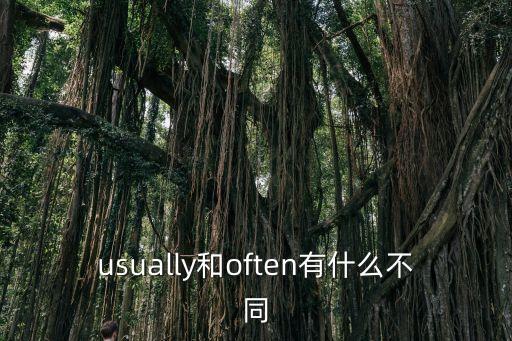 usually和often的區(qū)別,英國漢莎琳瑯瑯