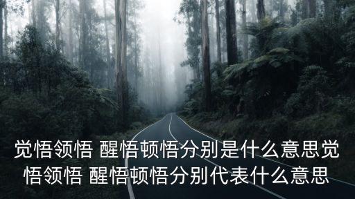 醒悟的意思,四個關鍵詞:啟蒙醒悟意識覺醒