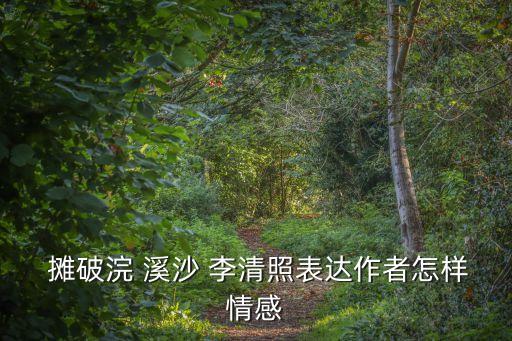 攤破浣溪沙李清照,攤破huan溪沙李清照病危詩詞