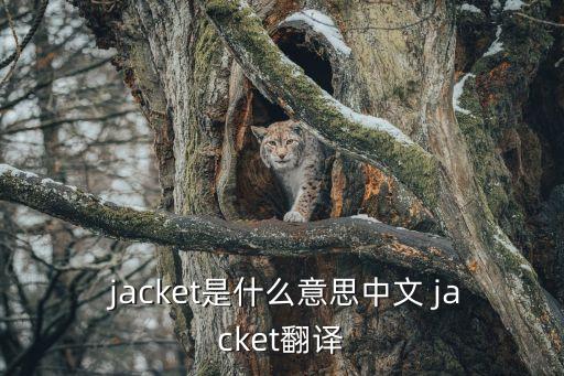 jacket是什么意思,夾克也可以理解為土豆皮