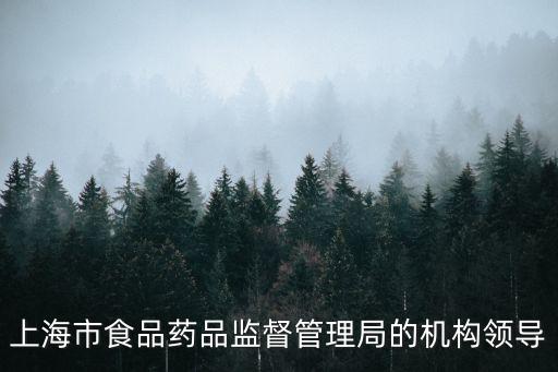 上海市人民政府對外辦趙英，趙英的早年經歷