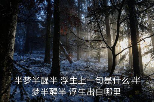  半夢半醒半 浮生上一句是什么 半夢半醒半 浮生出自哪里