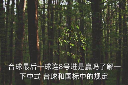  臺球最后一球連8號進是贏嗎了解一下中式 臺球和國標中的規定