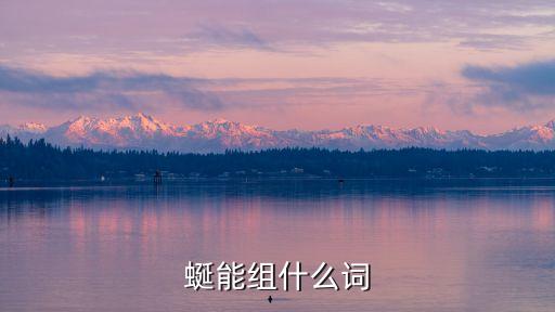 蜒能組什么詞