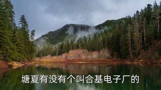 塘夏有沒有個叫合基電子廠的