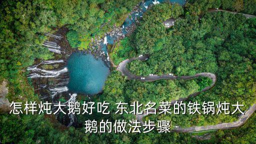 東北大鍋燉,東北鐵鍋鵝是什么?原來是這回事!