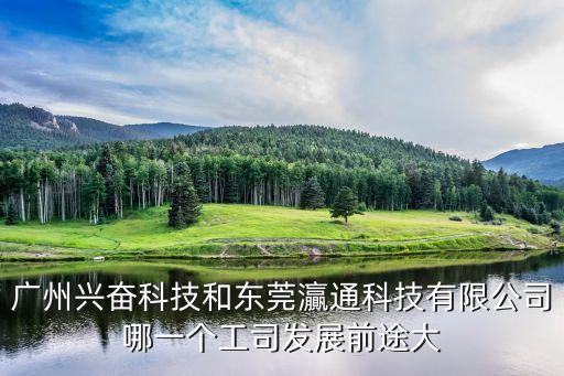 廣州興奮科技和東莞灜通科技有限公司哪一個(gè)工司發(fā)展前途大