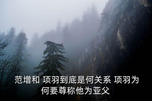 項(xiàng)羽范增,鴻門(mén)宴力勸項(xiàng)羽鏟除劉邦范增:我是項(xiàng)羽的密使