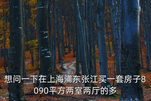 想問一下在上海浦東張江買一套房子8090平方兩室兩廳的多