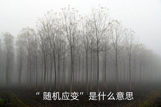 隨機應變的近義詞,隨機應變能解決問題嗎?