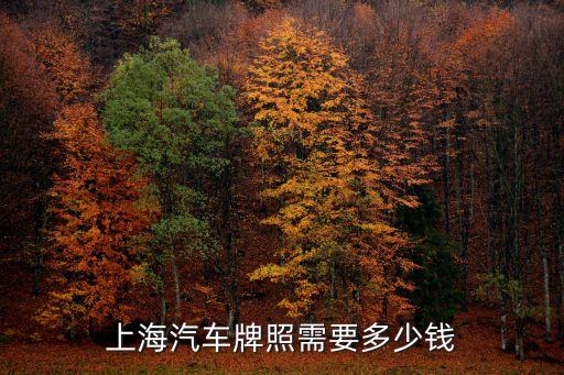 上海汽車牌照需要多少錢