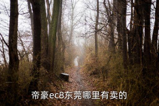 帝豪ec8東莞哪里有賣的