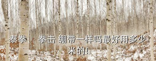 泰拳、 拳擊 繃帶一樣嗎最好用多少米的!