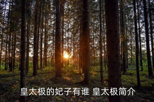 皇太極簡介,武太宗皇太極的傳奇